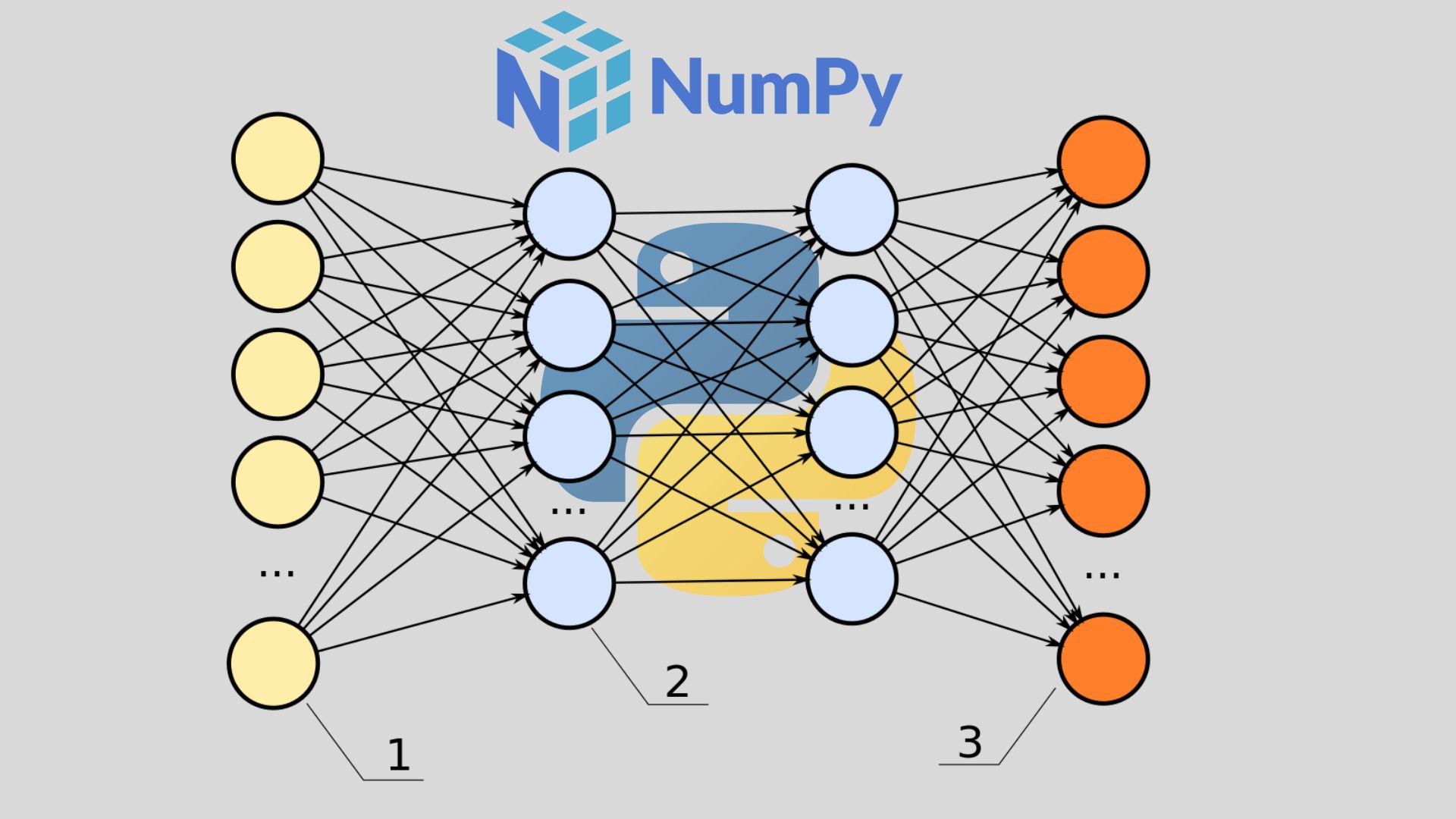 How To Build a Feedforward Neural Network In Python